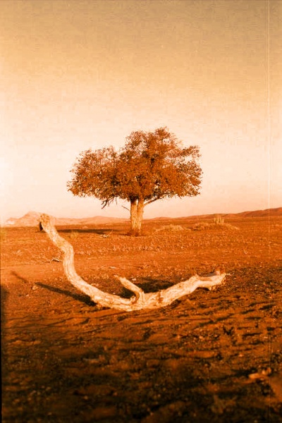 File:Khomi.jpg