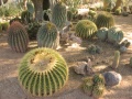 Thumbnail for version as of 21:43, 28 January 2011