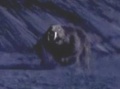 Thumbnail for version as of 02:35, 26 June 2010